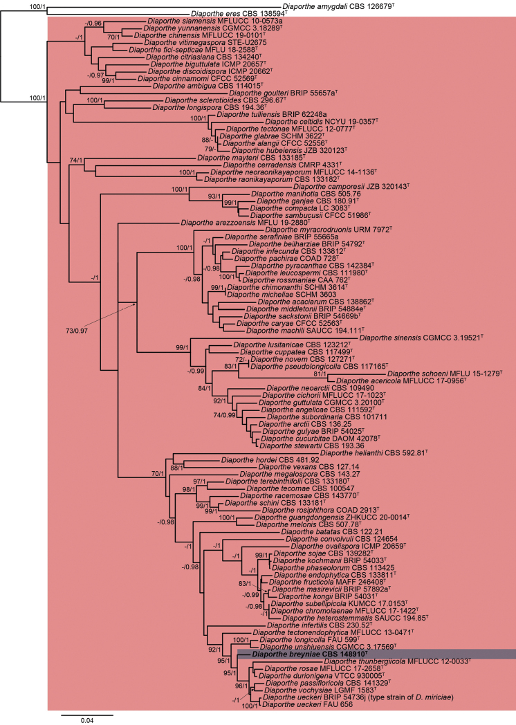 Figure 1.