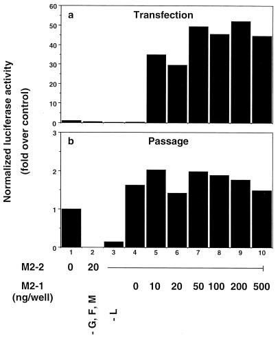 FIG. 7
