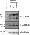 FIGURE 10.