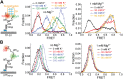 Figure 5—figure supplement 1.