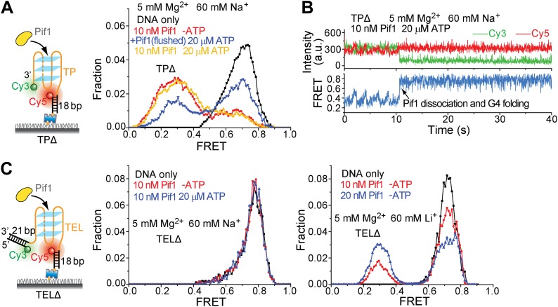 Figure 5—figure supplement 3.