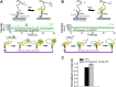 Figure 1—figure supplement 3.