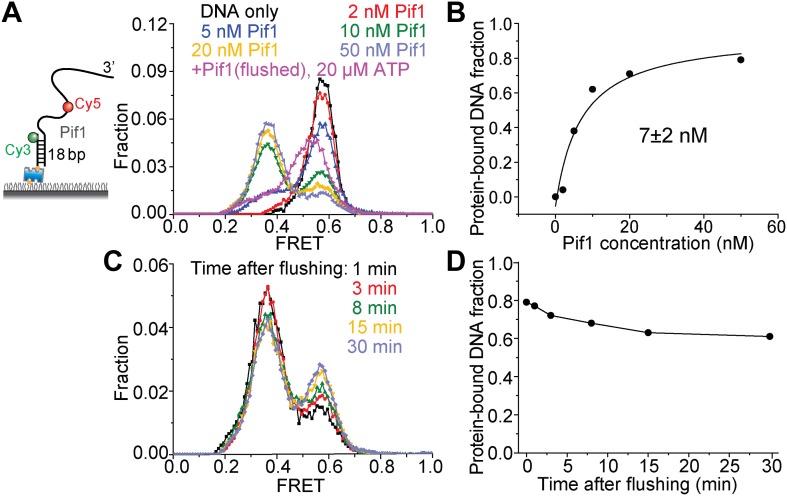 Figure 1—figure supplement 1.