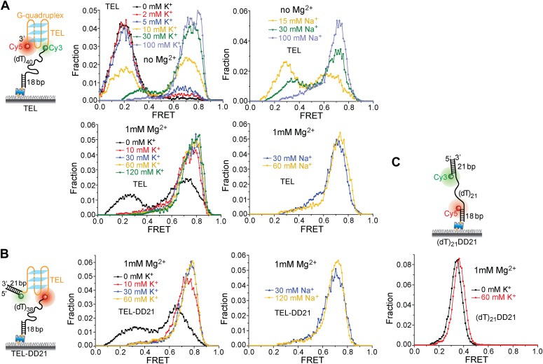 Figure 5—figure supplement 4.