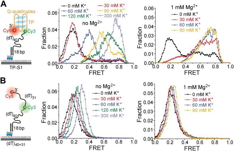 Figure 5—figure supplement 1.