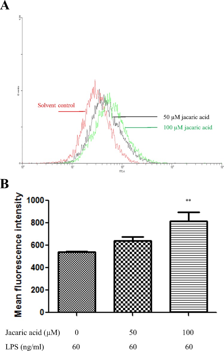 Fig 4