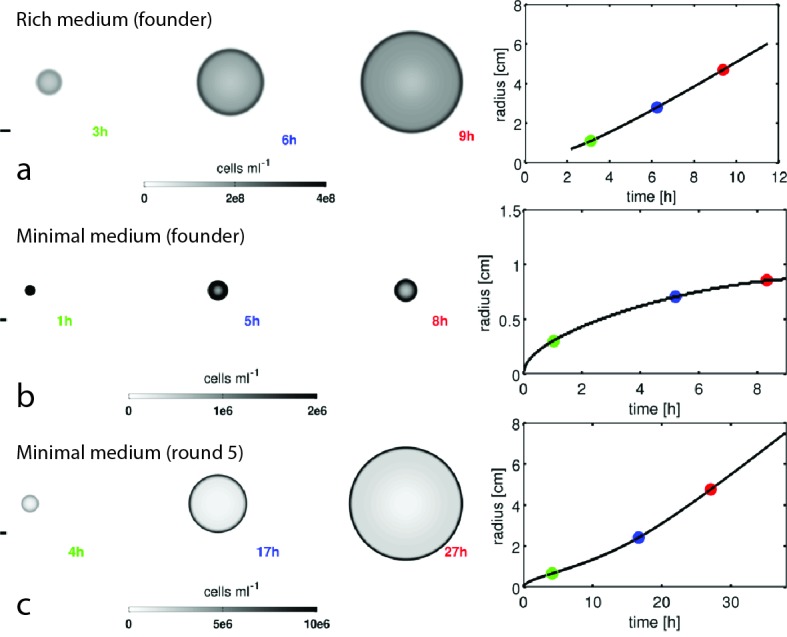 Figure 2—figure supplement 1.