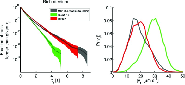 Figure 1—figure supplement 4.