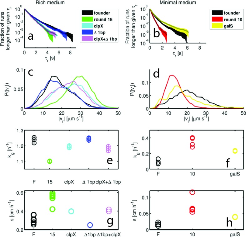 Figure 4—figure supplement 2.