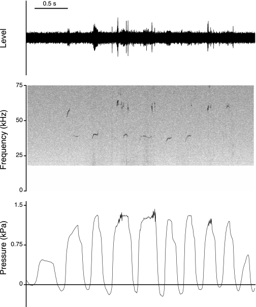 Fig. 2.