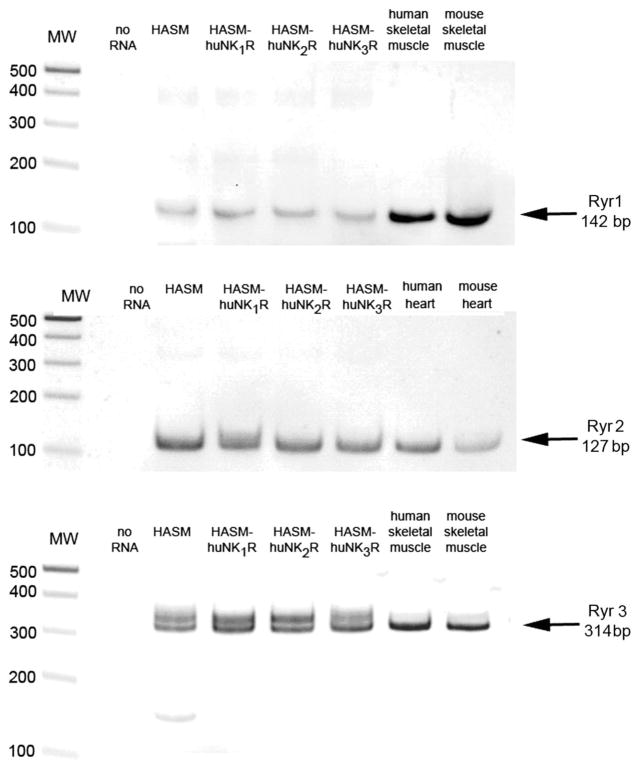 Fig. 11