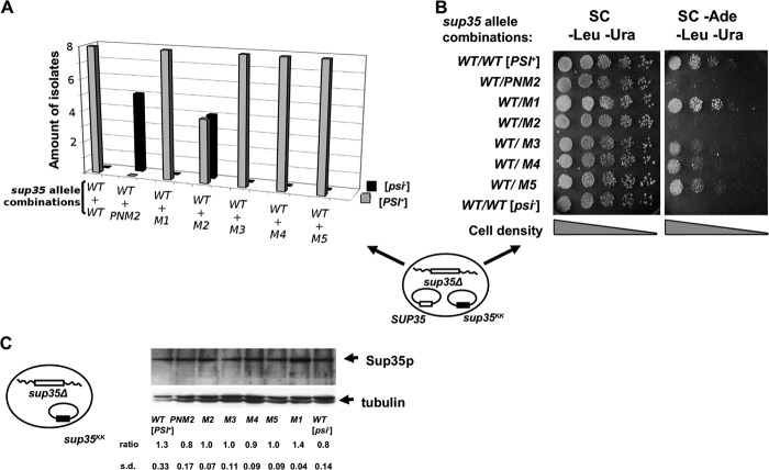 FIGURE 2.