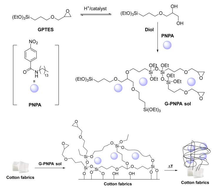 Scheme 8