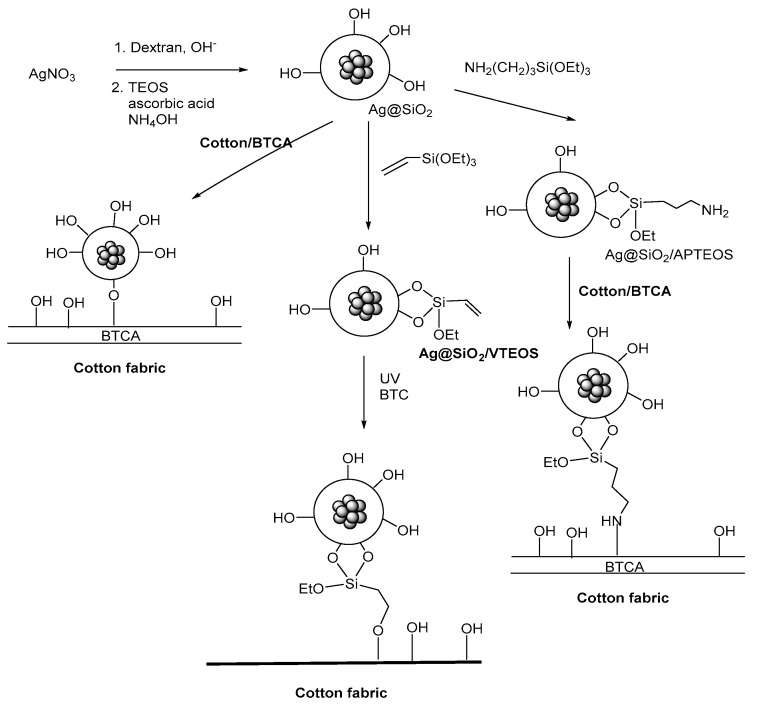 Scheme 1