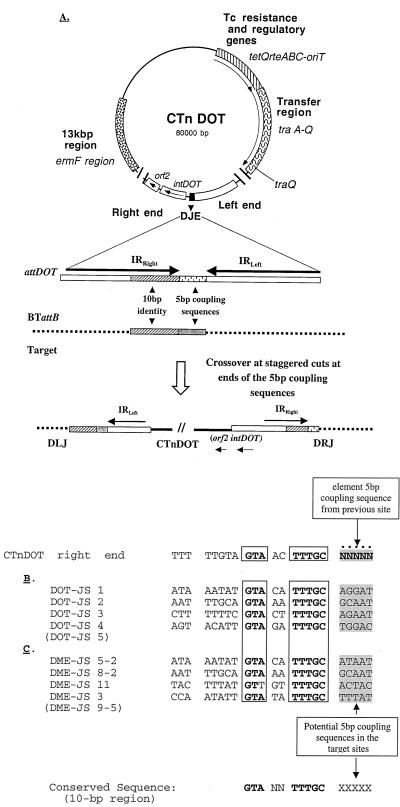 FIG. 5