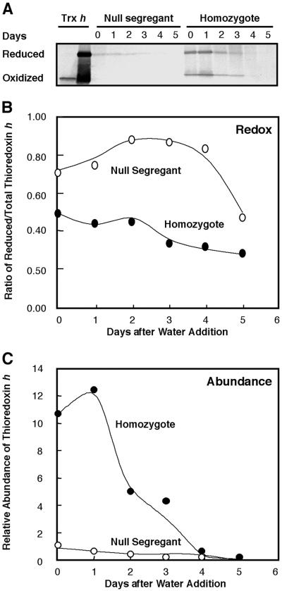 Fig 6.