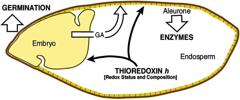 Fig 8.