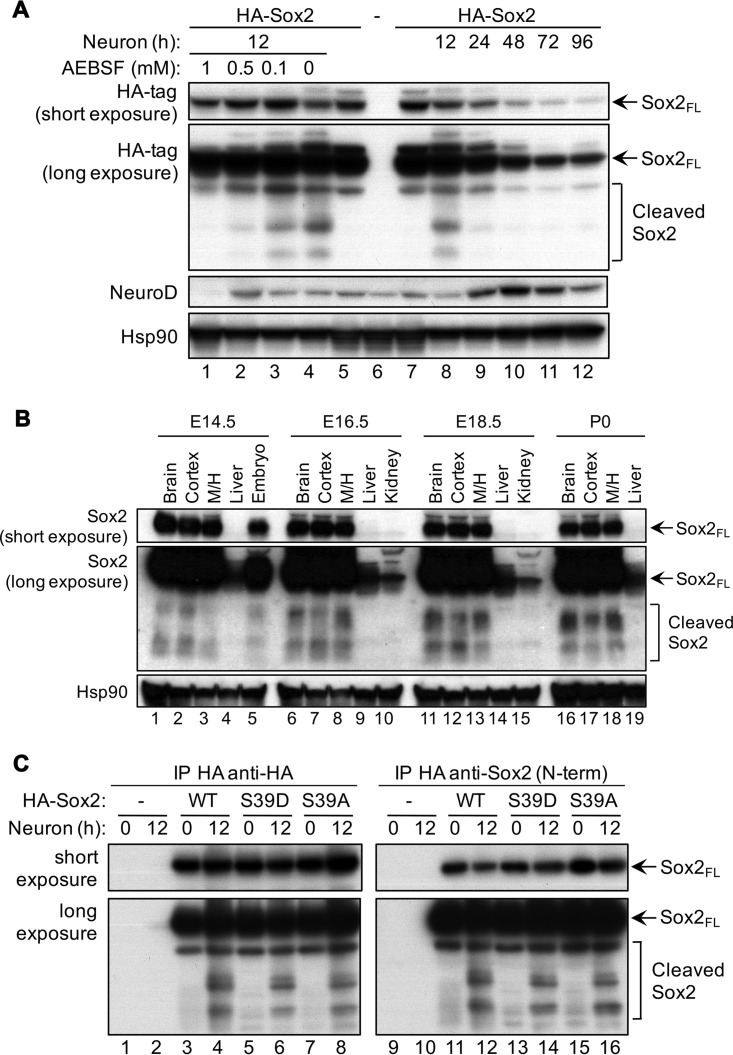 FIG 4