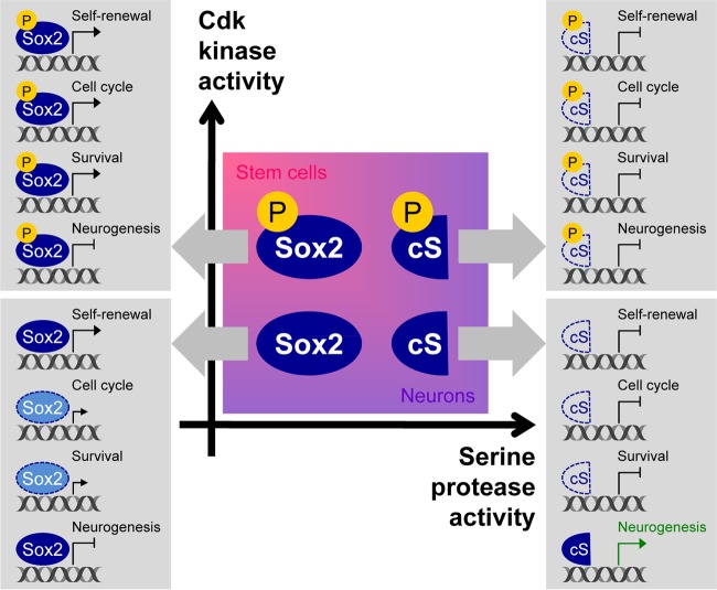 FIG 8