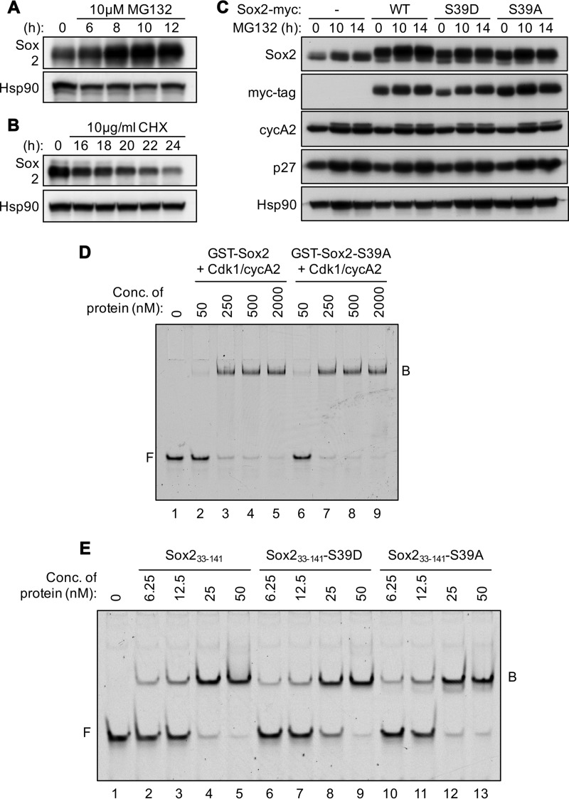 FIG 3