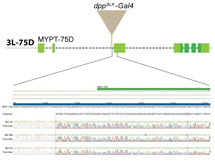 Figure 3—figure supplement 2.