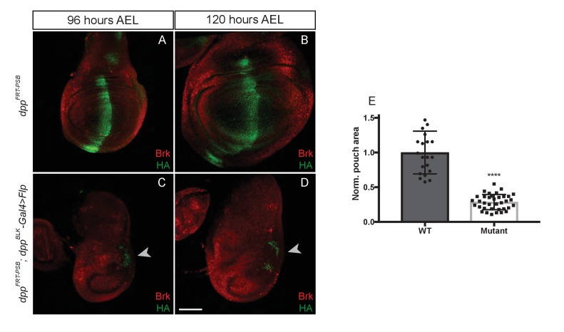 Figure 3—figure supplement 3.