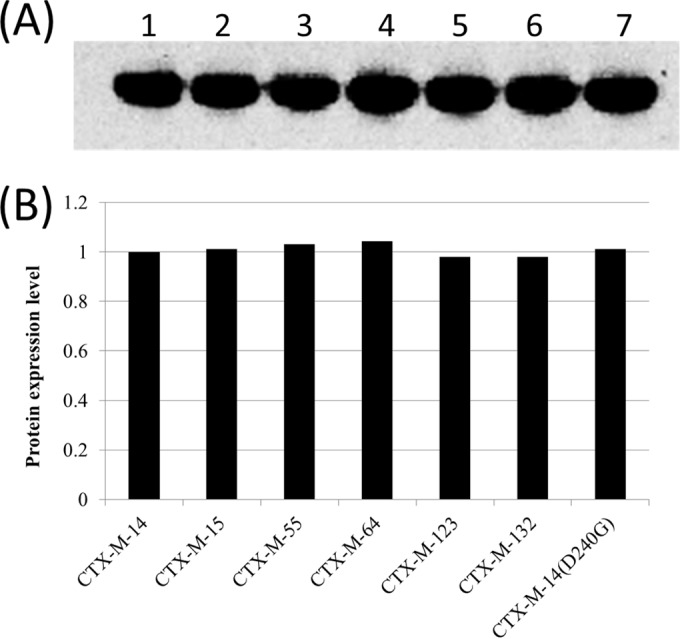 FIG 2