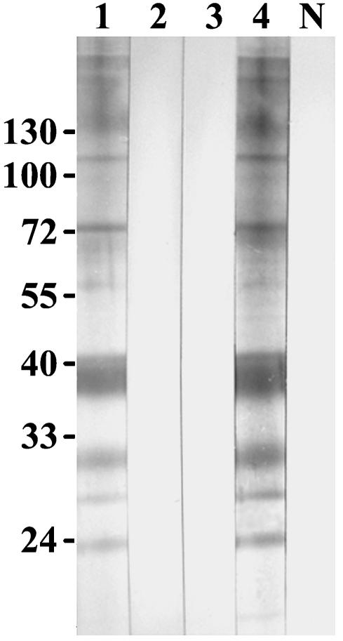 FIG. 5.