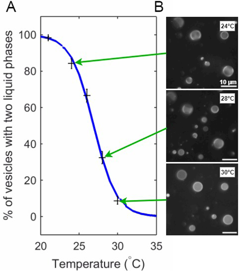 Figure 6: