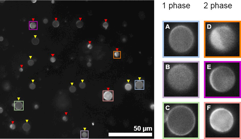 Figure 4: