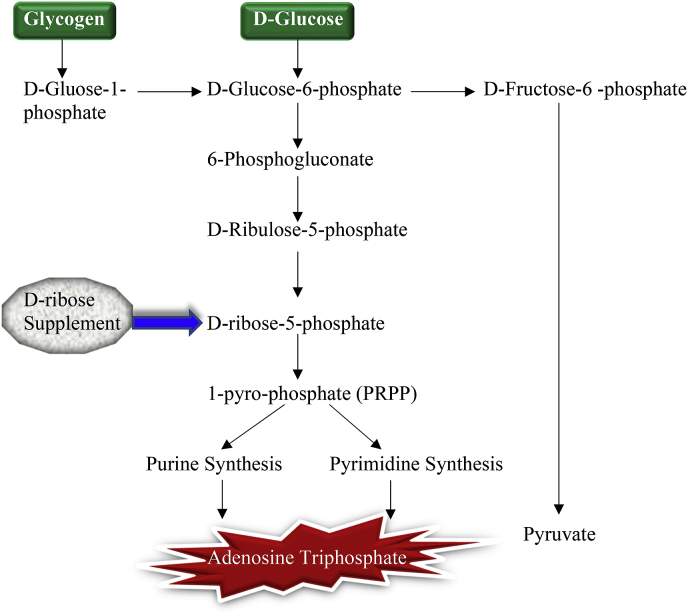 Fig. 3