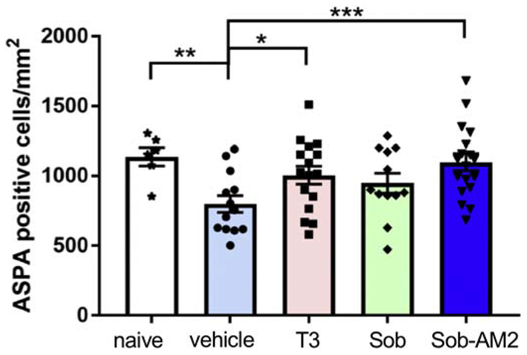 Fig 6.