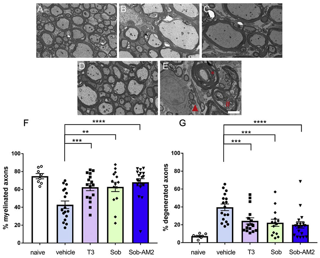 Fig 3.