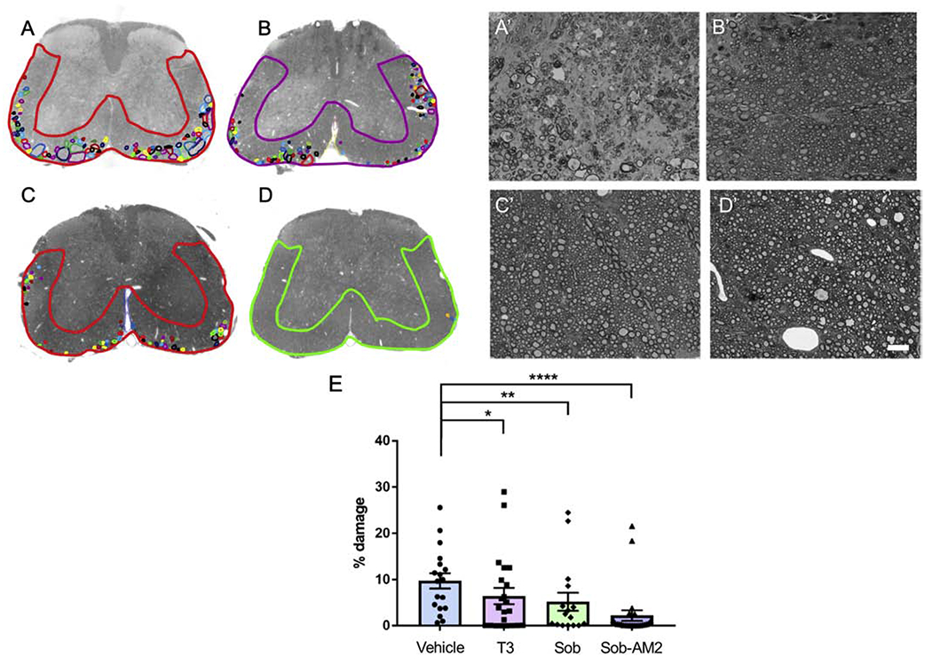 Fig 2.