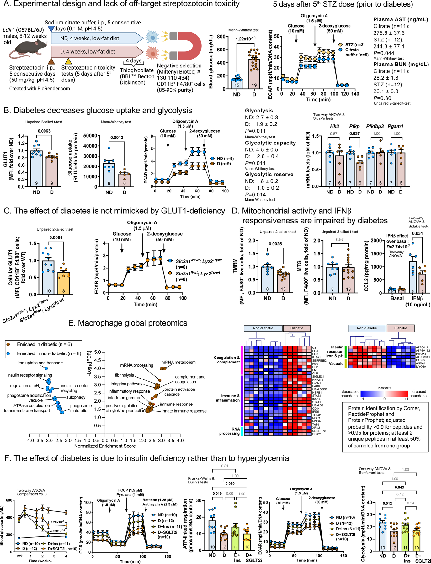 graphic file with name nihms-1772847-f0001.jpg