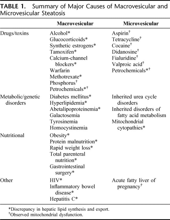 Steatosis As A Risk Factor In Liver Surgery - Pmc