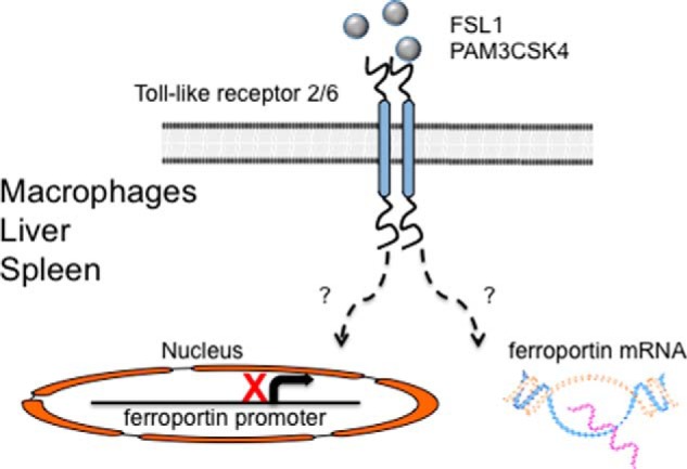 FIGURE 3.