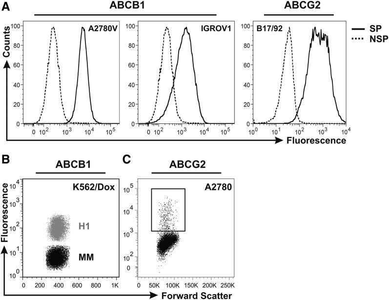 Figure 1.