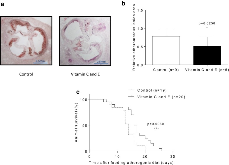 Fig. 6