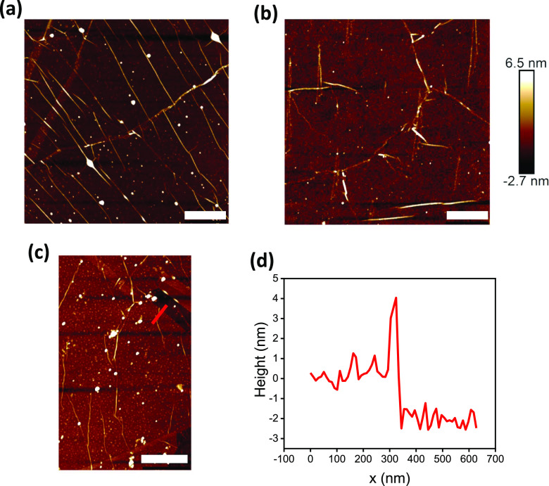 Figure 5