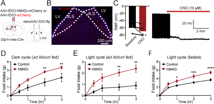 Figure 4