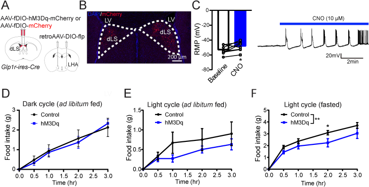 Figure 5