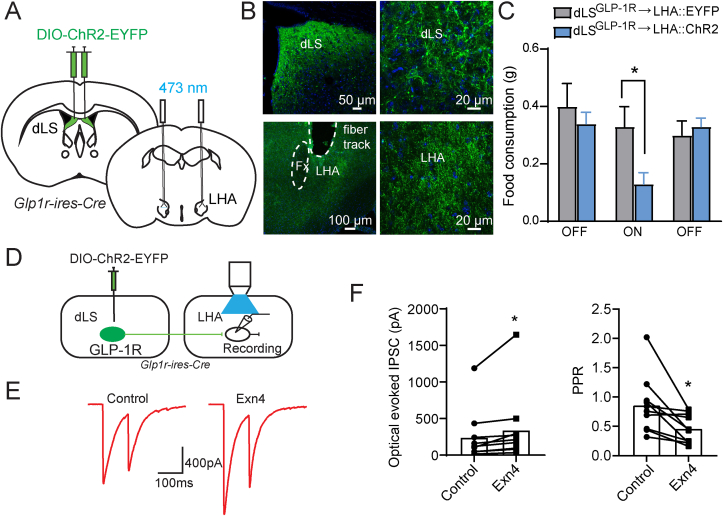 Figure 6