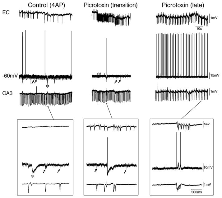 Fig. 16