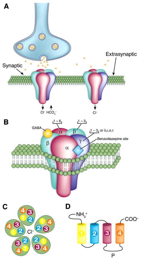 Fig. 1