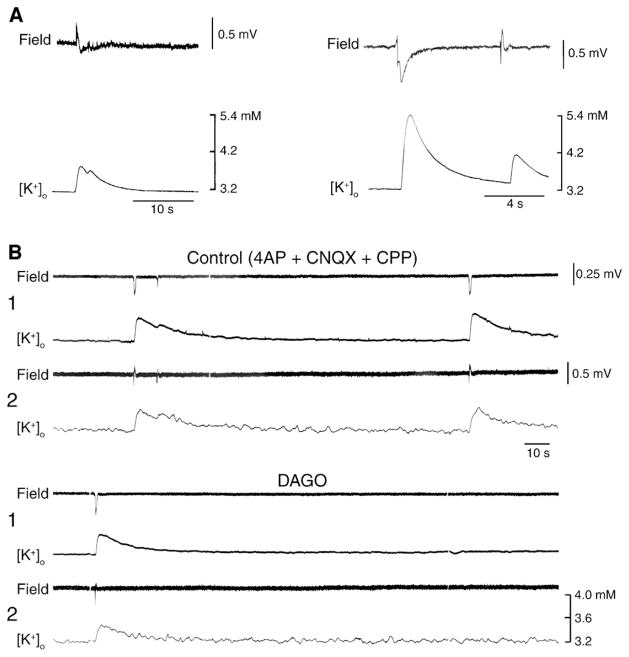 Fig. 10