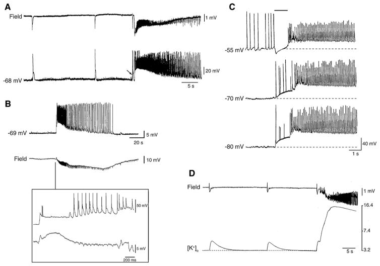 Fig. 12