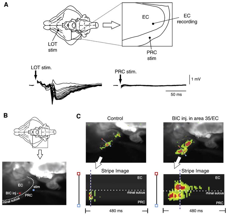 Fig. 15