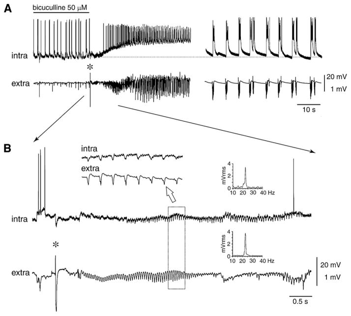 Fig. 13