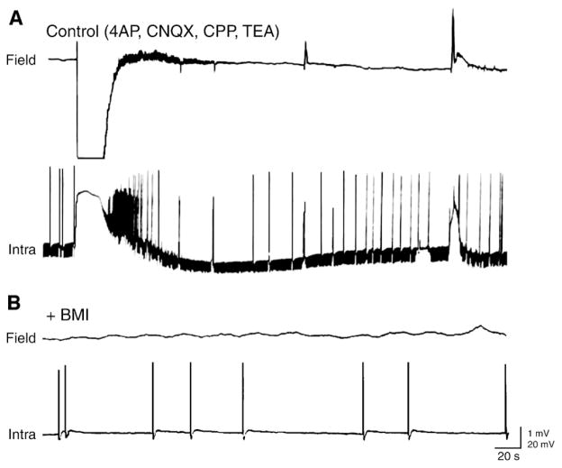 Fig. 11